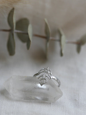Silver Dubia ring