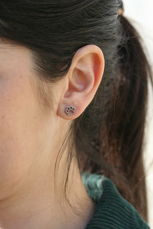 Clous d'oreilles Animo