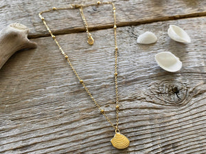 Collier Coquillage